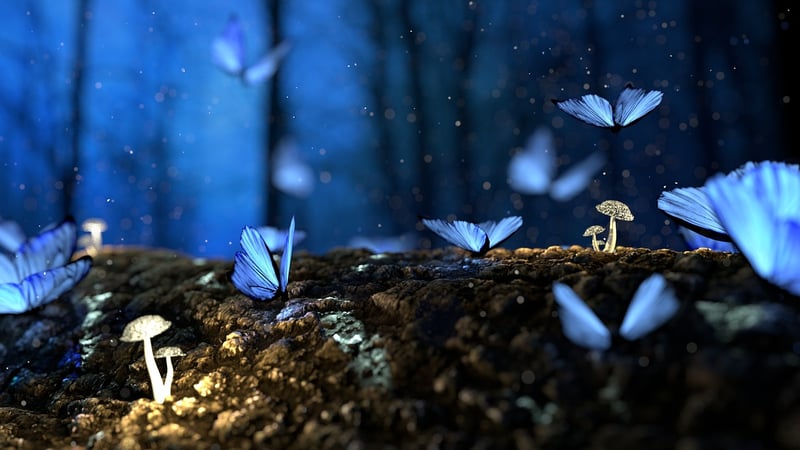 Fairytale Dreams